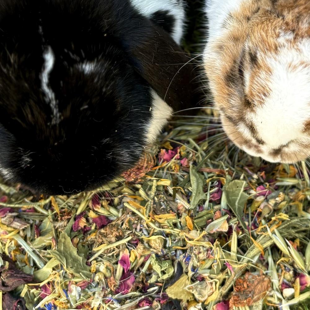 Preview: EMMAS BLÜTENLIEBE MIX